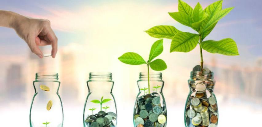 Prizivamo strane, a ne stimulišemo ni domaće investitore
