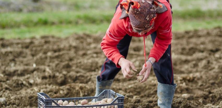Pašalić: Dodatna sredstva za poljoprivrednike