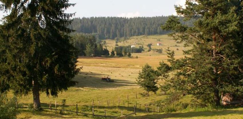 Na Romaniju stižu Semberci i Zvorničani: Prevazići ćemo Zlatibor