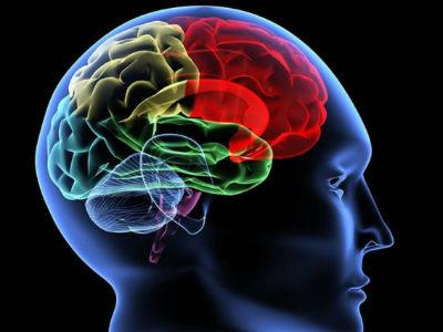 Stiže pilula za pamet?