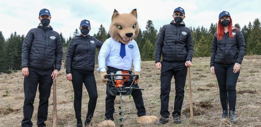 Povodom 25. rođendana kompanija R&S na Bjelašnici i Igmanu zasadila 2.500 sadnica drveća