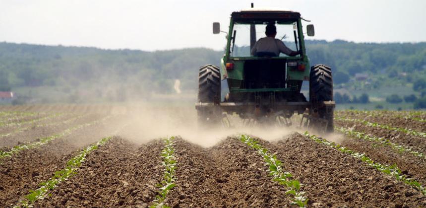 Općina Bosanska Krupa poljoprivrednicima isplatila 300.000 poticajnih sredstava