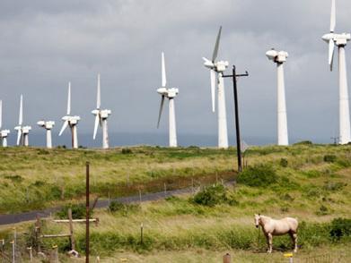 Obnovljivi izvori energije: U BiH radi samo jedna mala vjetroelektrana