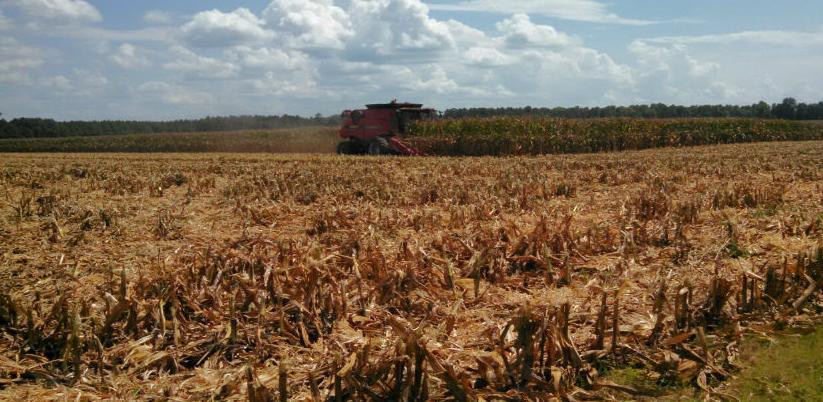 Velike štete u agraru RS-a, jedna od 'najsloženijih' godina