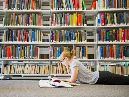 Diplomirani bibliotekari Federacije: Bibliotečki poslovi bibliotekarima