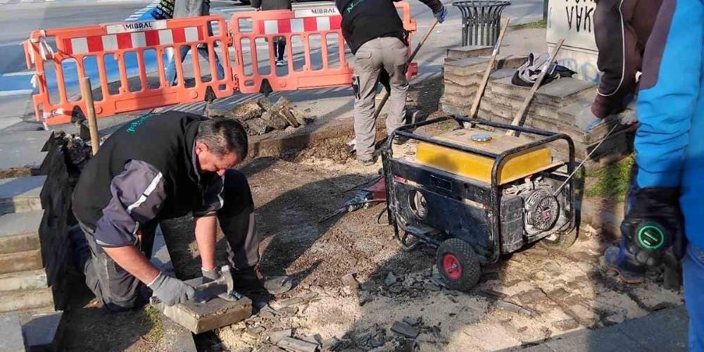 Vilsonovo šetalište