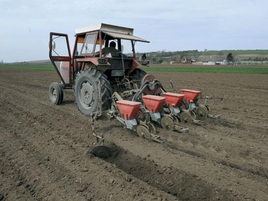 Primjena adaptiranog SSP-a izazvaće velike štete domaćim privrednicima