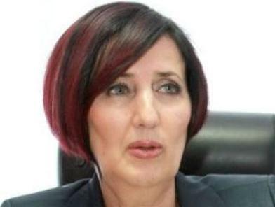 Mišić: U BiH jedna trećina BDP-a u sivoj ekonomiji
