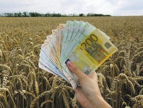 Standard dobre poljoprivredne prakse na farmi