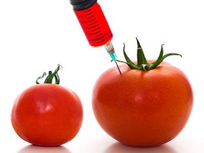 Odobreni obavezni testovi toksičnosti za GMO