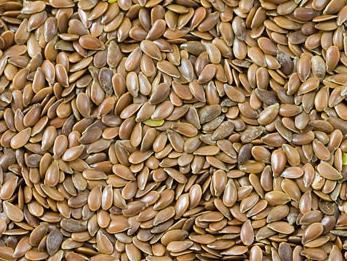 Povratak proizvodnje lana na poljoprivrednim parcelama u Posavini