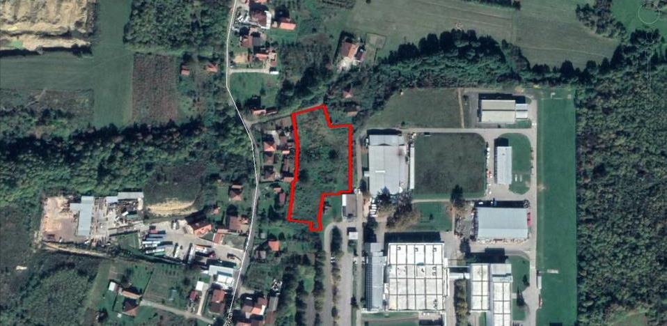 novakovići