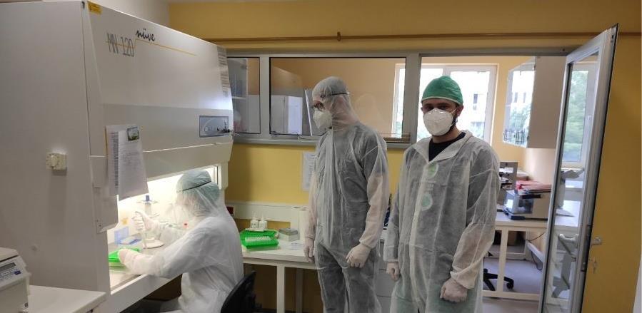 Izoliran prvi bosanskohercegovački soj virusa SARS-CoV-2
