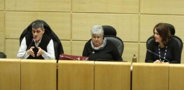 Nejednako postupanje u oblasti porodiljskih naknada i prava u FBiH
