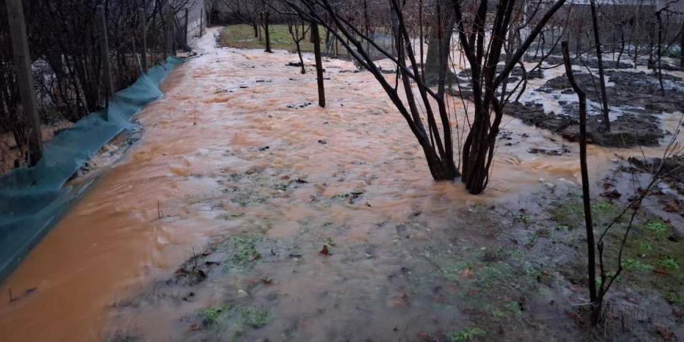 poplave
