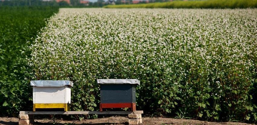 Početkom decembra počnje anketiranje iz oblasti poljoprivrede u BiH