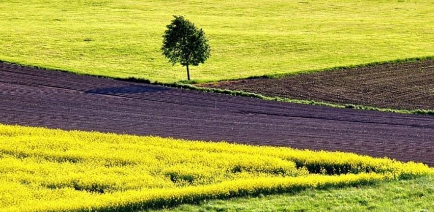 U BiH povećan otkupa industrijskog bilja za 102,8 odsto
