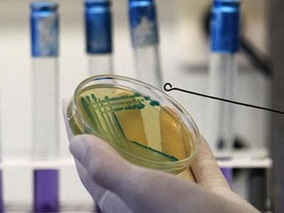 Bagarić: Nefunkcioniranje Veterinarske komore glavni problem