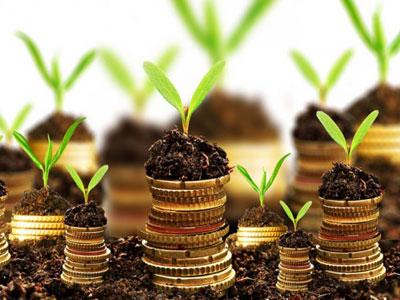 Njemački investitori prave fabriku peleta u Kaknju