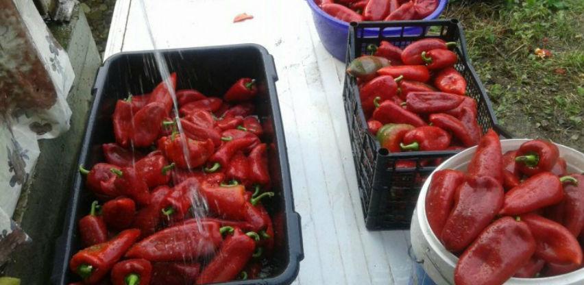 Proizvodnja hrane na tradicionalan način kao izvor prihoda i relaksacija