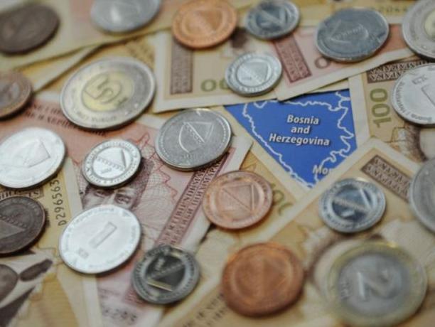 Dijaspora se uključuje u razvoj bh. ekonomije