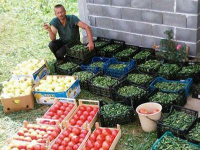 Ramiz Džafić iz Visokog: Od krastavaca zaradim 8.000 KM