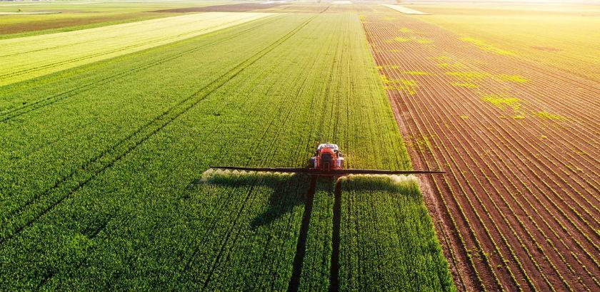 Podrška od pet feninga za pšenicu ogromna za farmere