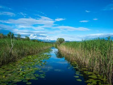 Ispitivanje podzemnih tokova u Popovom polju i Hutovom blatu