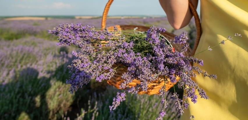 Žene poduzetnice nižu uspjehe u proizvodnji hrane