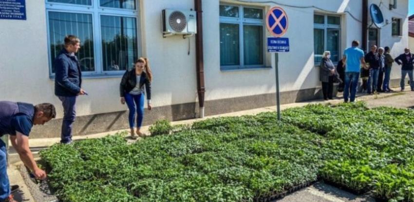 Prave pijacu na Trebeviću, prodavat će samo domaće povrće