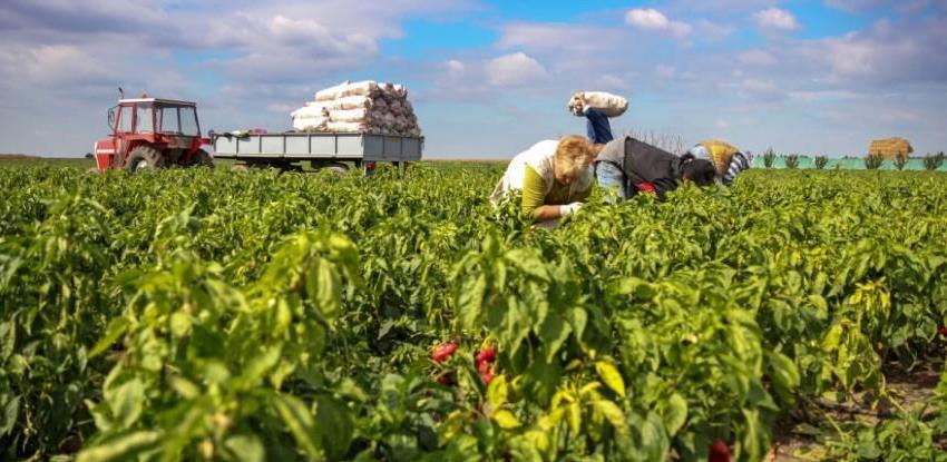 Pravilnik o izmjenama Pravilnika o ostvarivanju novčane podrške - model poticaja proizvodnji