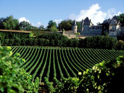 Usprkos krizi rast cijena: Milion eura za hektar francuskog vinograda