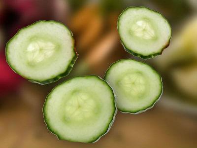 Stručno predavanje o tehnologiji proizvodnje krastavca