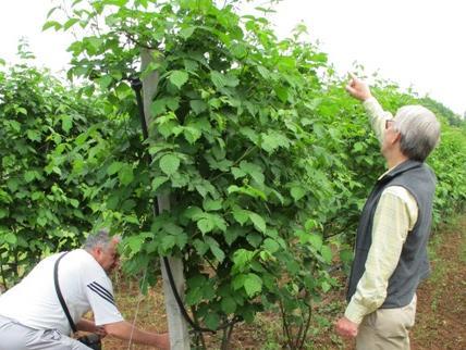 USAID/Sida FARMA podržava 480 poljoprivrednih proizvođača