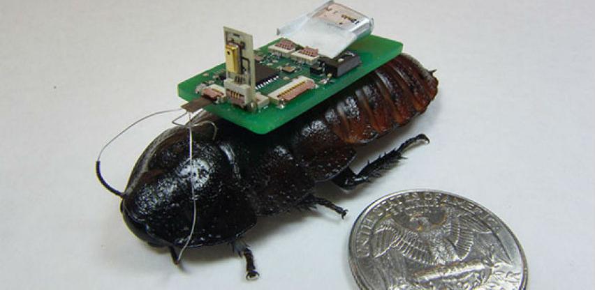 Roboti žohari mogli bi se koristiti u ratnim misijama