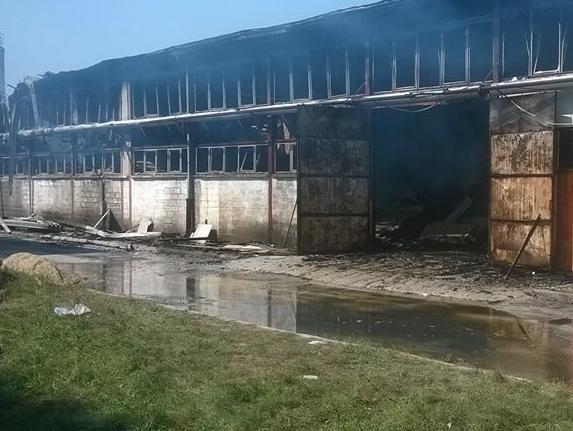 Požar u Zavidovićima "spalio" više od 200 radnih mjesta