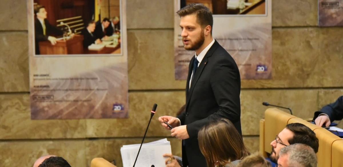 irfan čengić