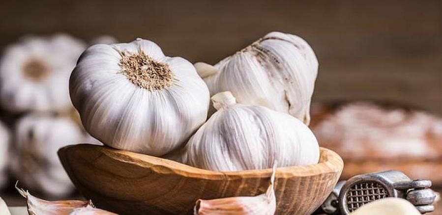 Hercegovački bijeli luk među pet najkvalitetnijih u svijetu