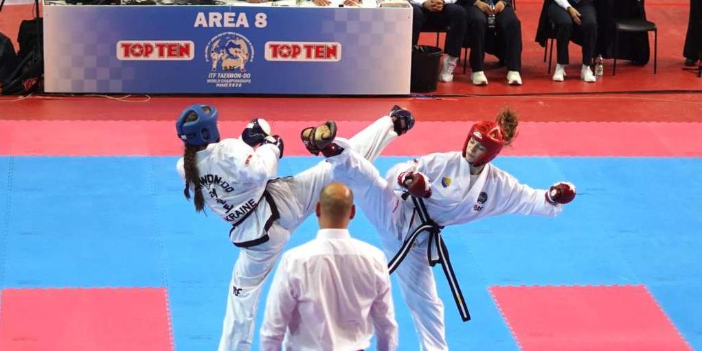 Taekwondo