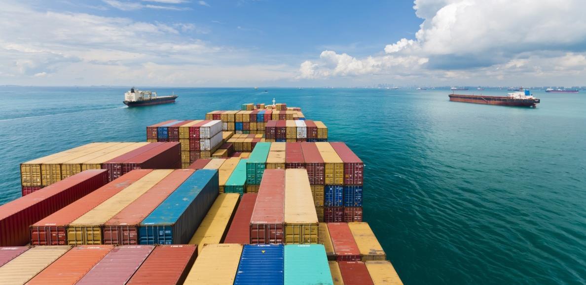 2021. godina donosi mnoge značajne promjene unutar carinske regulative EU