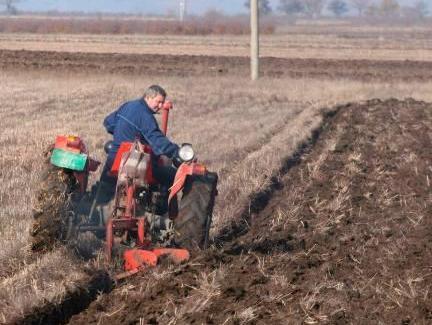 Svjetska banka: Za poljoprivredu RS 15 miliona KM