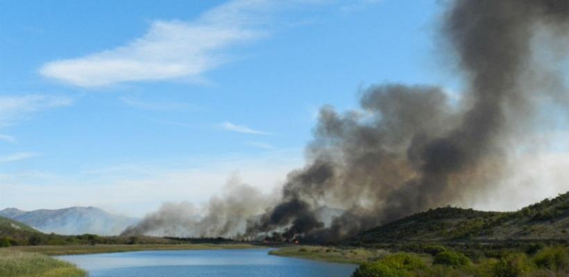 Šteta od požara na Hutovom blatu oko milijun KM, ugrožen cijeli eko sustav