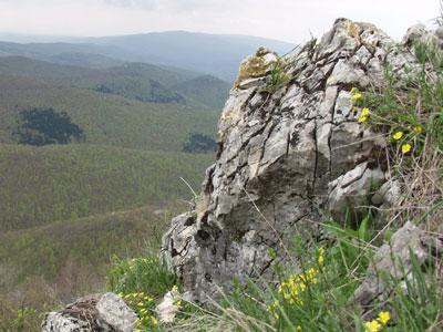 Zapanjujući rezultati:Pronađen neotkriveni svijet Dinarskog luka