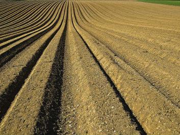 IRB RS dodjeljuje novac za lokalne razvojne projekte