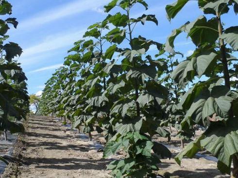 TeleGroup organizuje prvi IT Security Workshop u Sarajevu