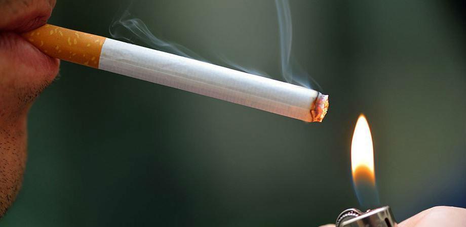 Duhan ne ubija samo ljude, već i prirodu