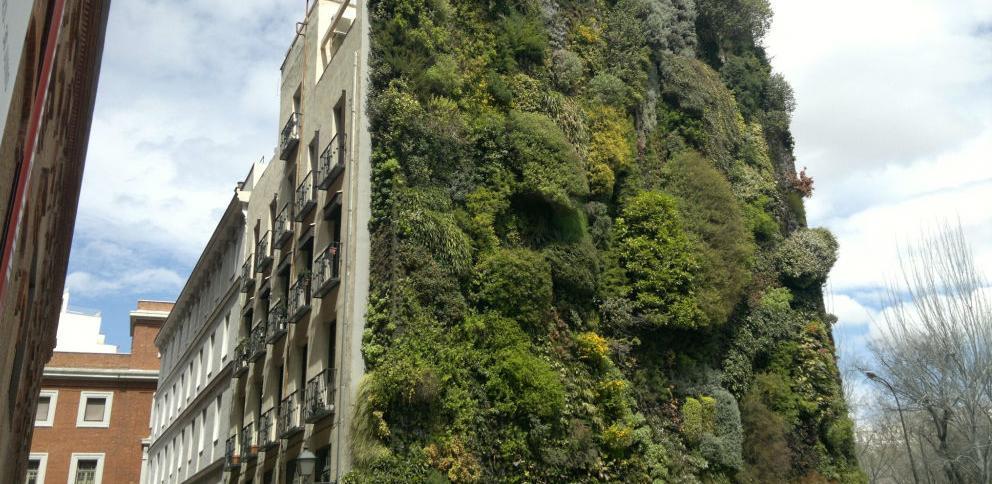 Zgrada u Sarajevu dobija zelenu fasadu od biljnog rastinja