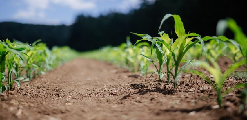 Ideje za pomoć poljoprivrednicima: Subvencionirati one koji se žele baviti poljoprivredom