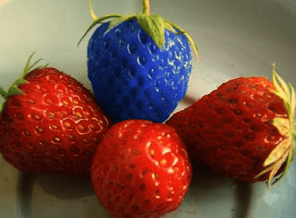 Kome vjerovati kad se radi o GMO?