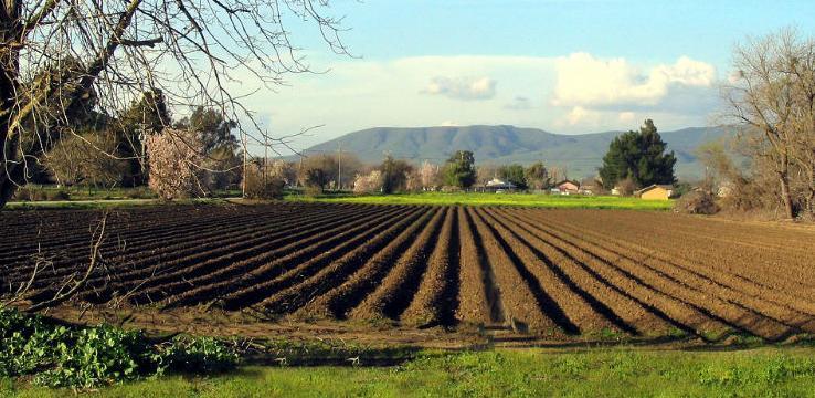 Pravilnik o načinu i uslovima ostvarivanja novčane podrške